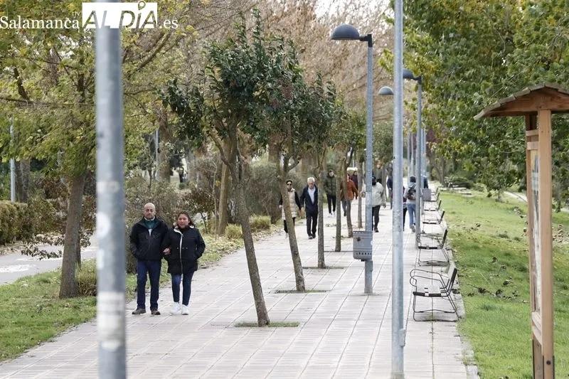 Ambiente en la mañana de este domingo en el Rastro y en la zona de La Aldehuela. Fotos: David Sañudo