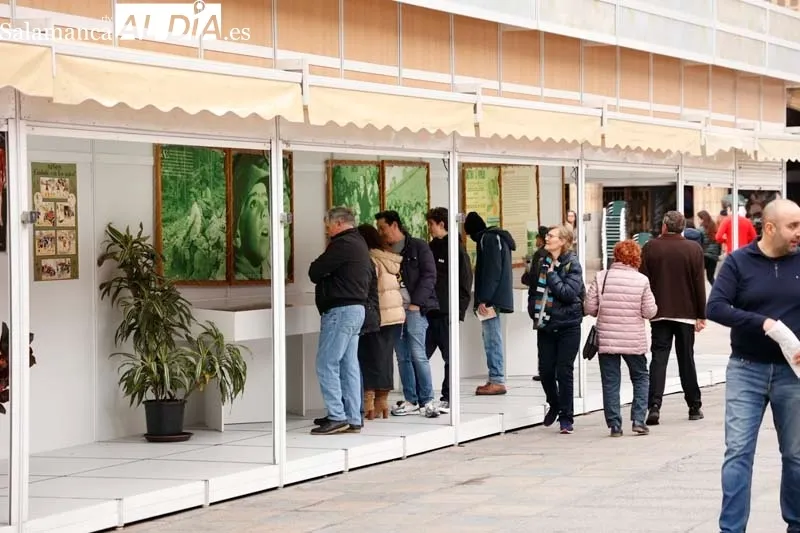 Ambiente de domingo en Salamanca | FOTOS: David Sañudo