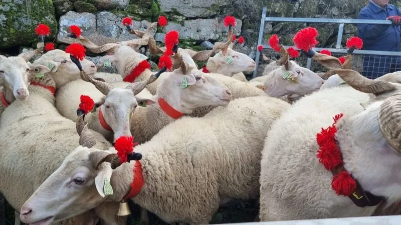 Foto 4 - Penedono, rico pasado medieval plasmado en un certamen gastron&oacute;mico