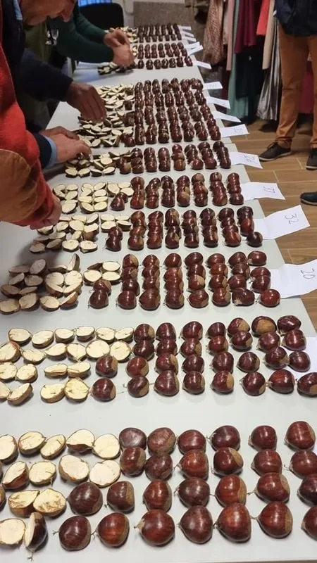 Foto 9 - Penedono, rico pasado medieval plasmado en un certamen gastron&oacute;mico