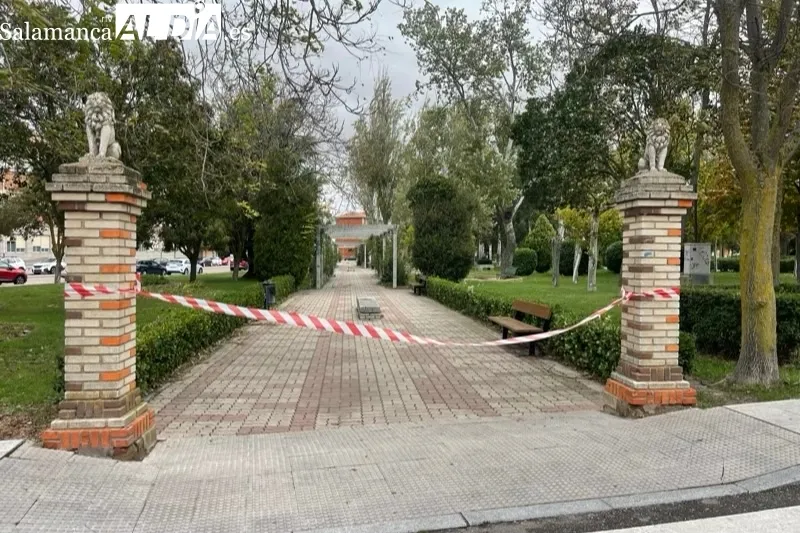 El paso de la borrasca Ciarán se deja sentir en Peñaranda