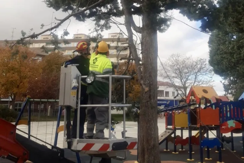 Foto 2 - Los Bomberos de Pe&ntilde;aranda realizan cinco actuaciones de urgencia por el paso de &lsquo;Ciar&aacute;n&rsquo; y &lsquo;Domingos&rsquo;
