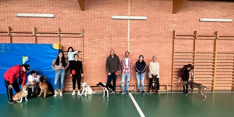 Talleres Básicos de Adiestramiento Canino para de estrechar la relación del dueño con el perro 