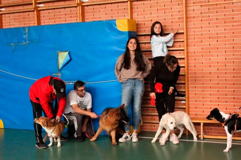 Talleres Básicos de Adiestramiento Canino para de estrechar la relación del dueño con el perro 