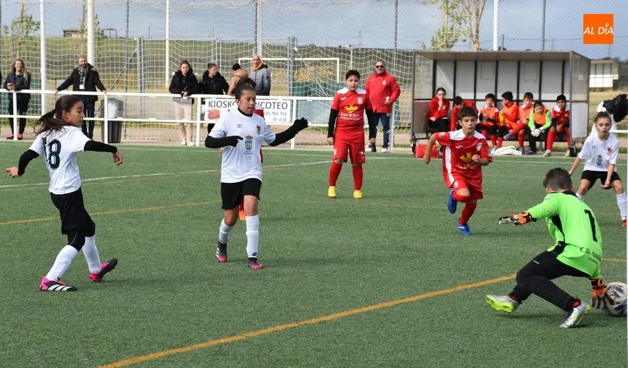 Foto 8 - El Navega D se impone al Alev&iacute;n Femenino del Ciudad Rodrigo gracias a su mayor acierto ofensivo