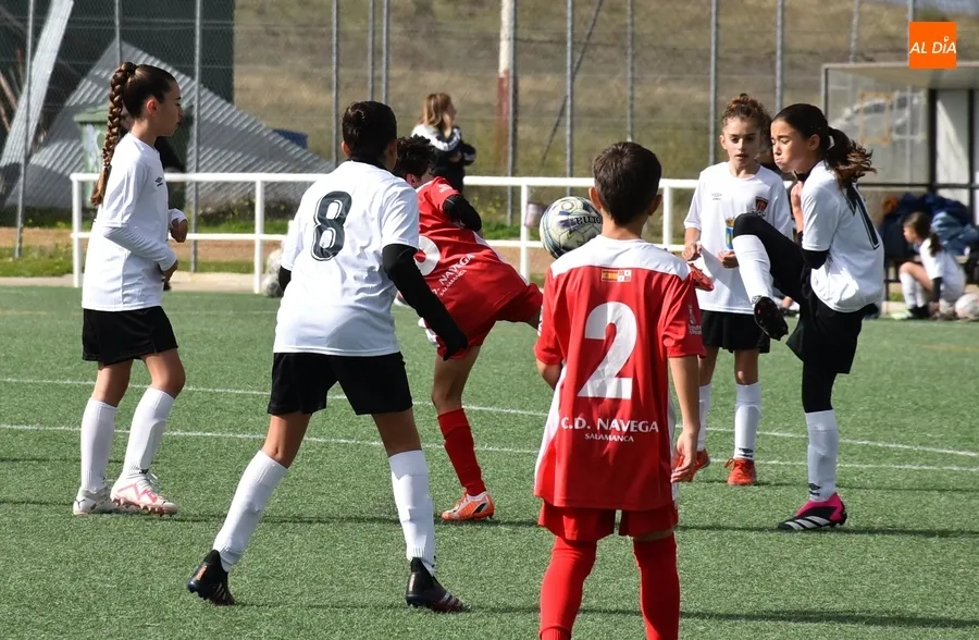 Foto 9 - El Navega D se impone al Alev&iacute;n Femenino del Ciudad Rodrigo gracias a su mayor acierto ofensivo