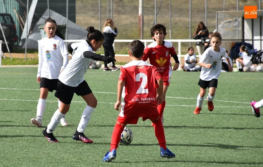 Foto 10 - El Navega D se impone al Alev&iacute;n Femenino del Ciudad Rodrigo gracias a su mayor acierto ofensivo