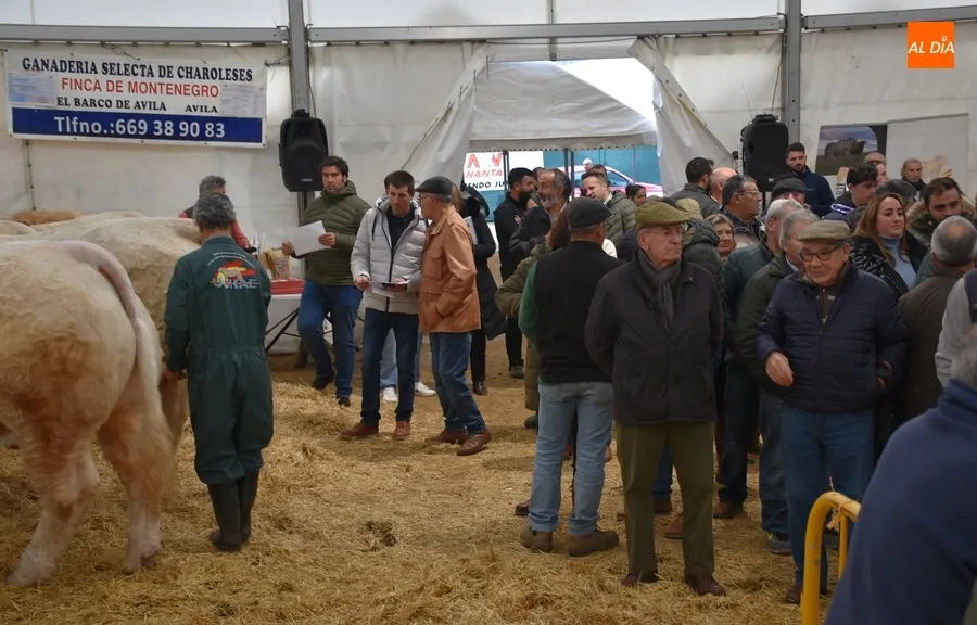 Foto 3 - La Feria de San Andr&eacute;s estrena su car&aacute;cter Nacional con buen ambiente pese a la lluvia constante