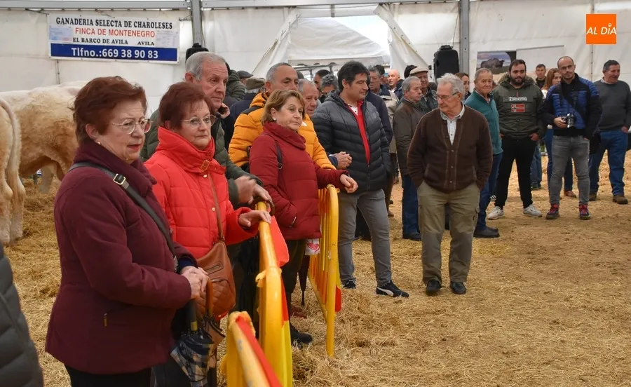 Foto 4 - La Feria de San Andr&eacute;s estrena su car&aacute;cter Nacional con buen ambiente pese a la lluvia constante