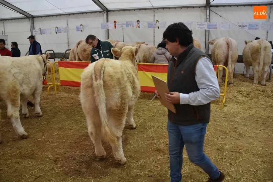 Foto 6 - La Feria de San Andr&eacute;s estrena su car&aacute;cter Nacional con buen ambiente pese a la lluvia constante
