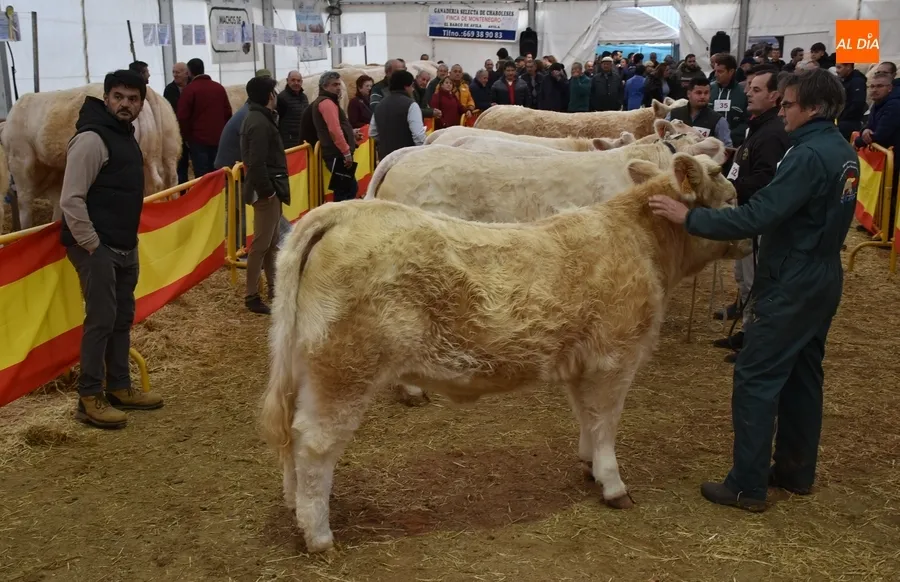 Foto 7 - La Feria de San Andr&eacute;s estrena su car&aacute;cter Nacional con buen ambiente pese a la lluvia constante