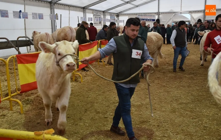 Foto 8 - La Feria de San Andr&eacute;s estrena su car&aacute;cter Nacional con buen ambiente pese a la lluvia constante