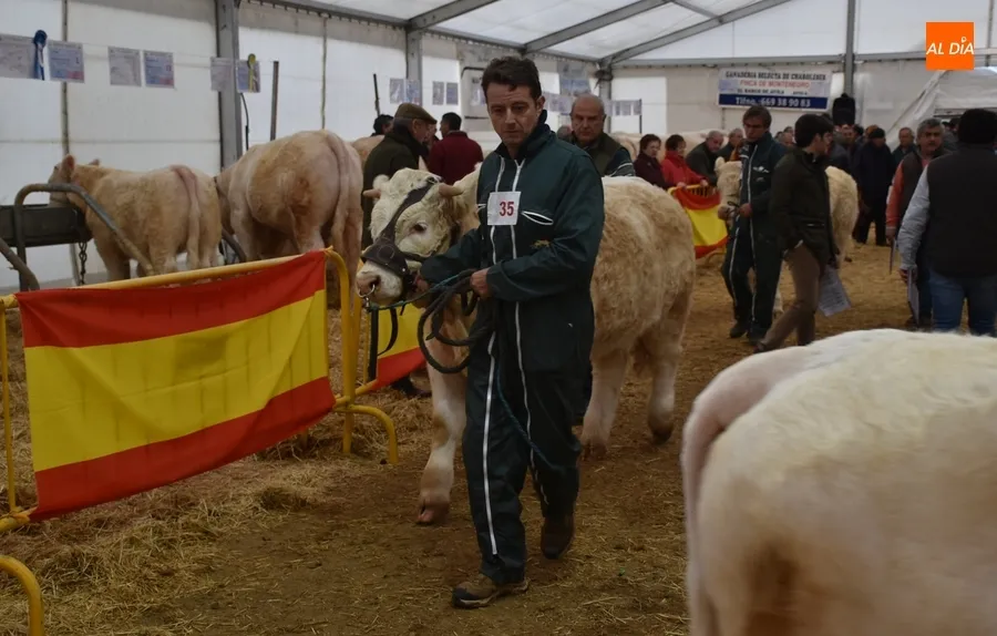 Foto 9 - La Feria de San Andr&eacute;s estrena su car&aacute;cter Nacional con buen ambiente pese a la lluvia constante