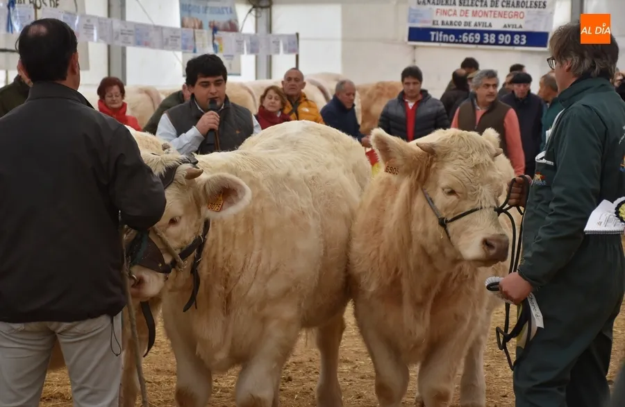 Foto 10 - La Feria de San Andr&eacute;s estrena su car&aacute;cter Nacional con buen ambiente pese a la lluvia constante