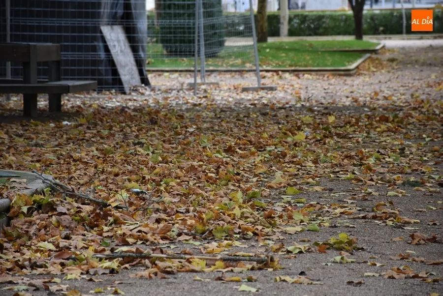 Foto 3 - Reabiertos los parques de La Florida y La Glorieta para disfrutar de sus &lsquo;mares de oto&ntilde;o&rsquo;