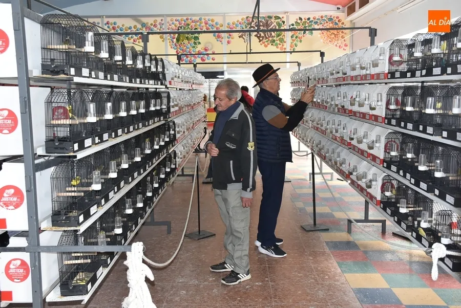 Foto 4 - Distinguidos cerca de una treintena de criadores en la clausura del 12&ordm; Concurso Ornitol&oacute;gico