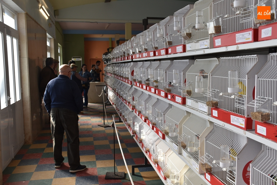 Foto 5 - Distinguidos cerca de una treintena de criadores en la clausura del 12º Concurso Ornitológico