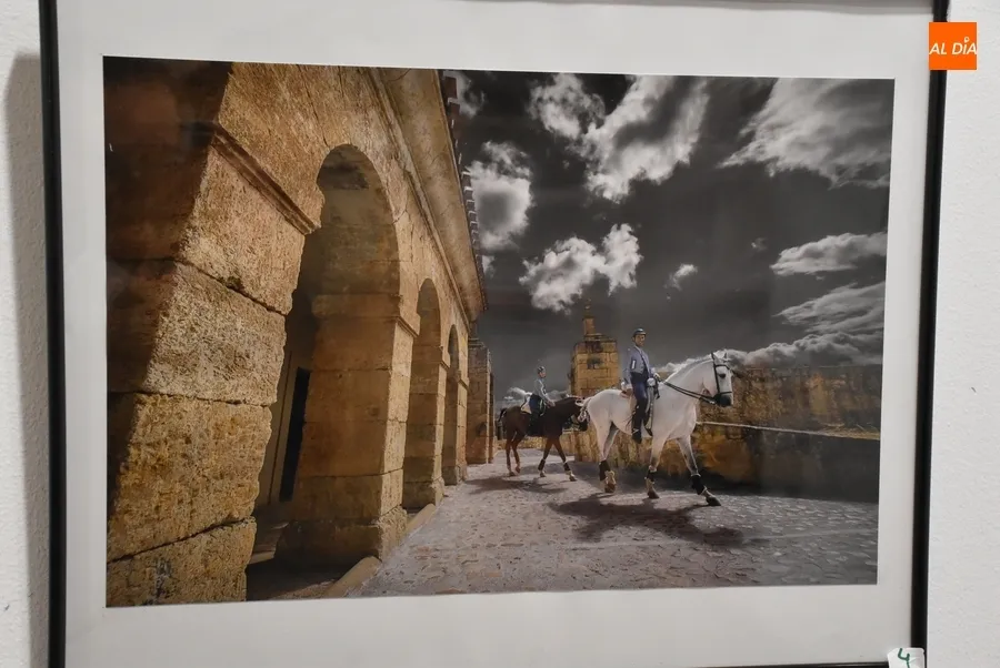 Foto 4 - &Aacute;ngel Manuel Serrano gana el Concurso de Fotograf&iacute;a de la Feria del Caballo 2023