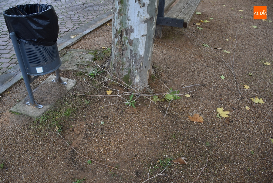 Foto 6 - Ciarán deja múltiples ramas caídas en los parques mirobrigenses