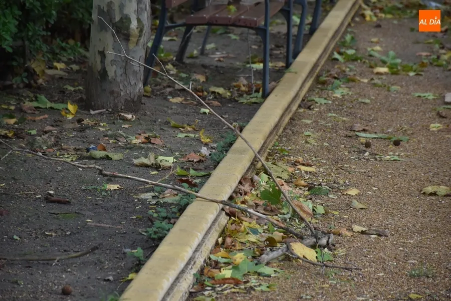Foto 7 - Ciar&aacute;n deja m&uacute;ltiples ramas ca&iacute;das en los parques mirobrigenses