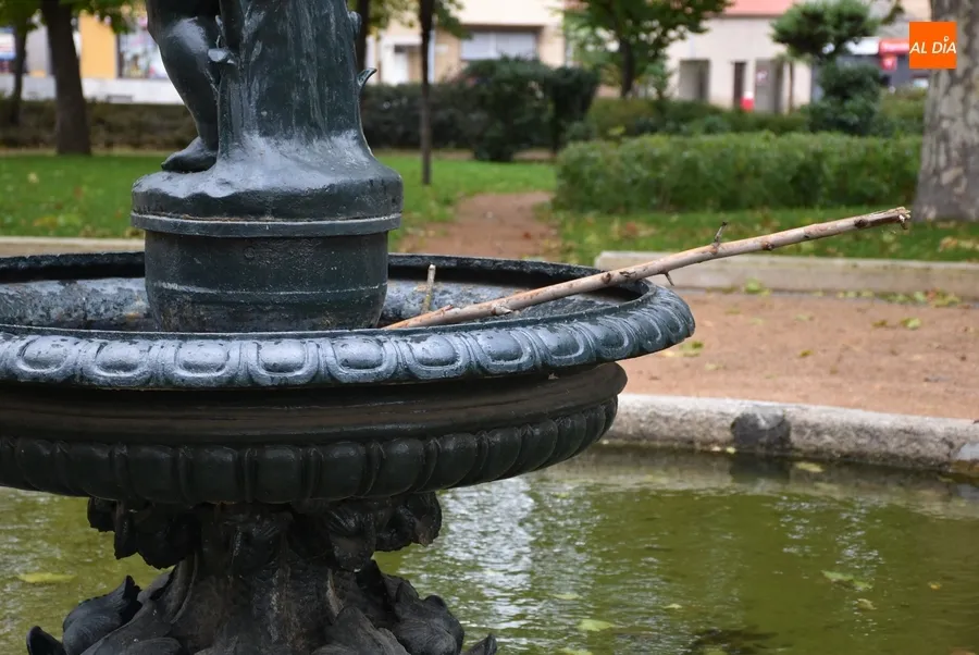 Foto 10 - Ciar&aacute;n deja m&uacute;ltiples ramas ca&iacute;das en los parques mirobrigenses