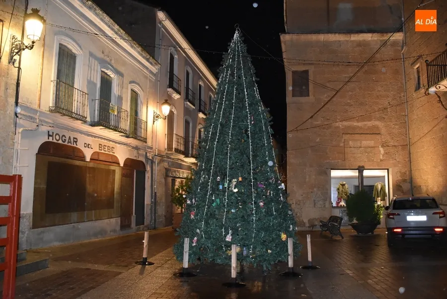 Foto 3 - Plantado el &aacute;rbol navide&ntilde;o de la calle Madrid con sus adornos de vuelta