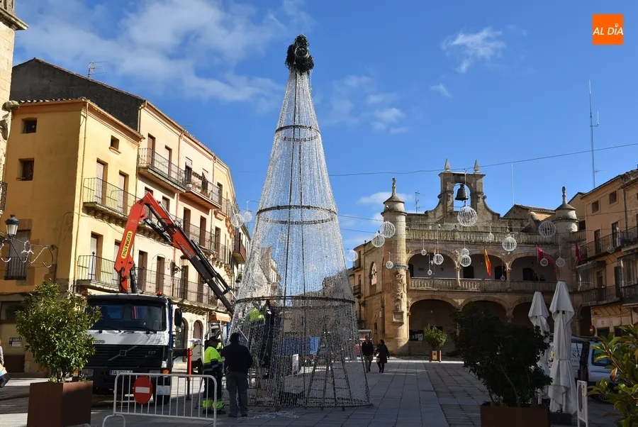 Foto 2 - La Plaza Mayor da la bienvenida, quiz&aacute; por &uacute;ltima vez, a su gran &aacute;rbol de Navidad