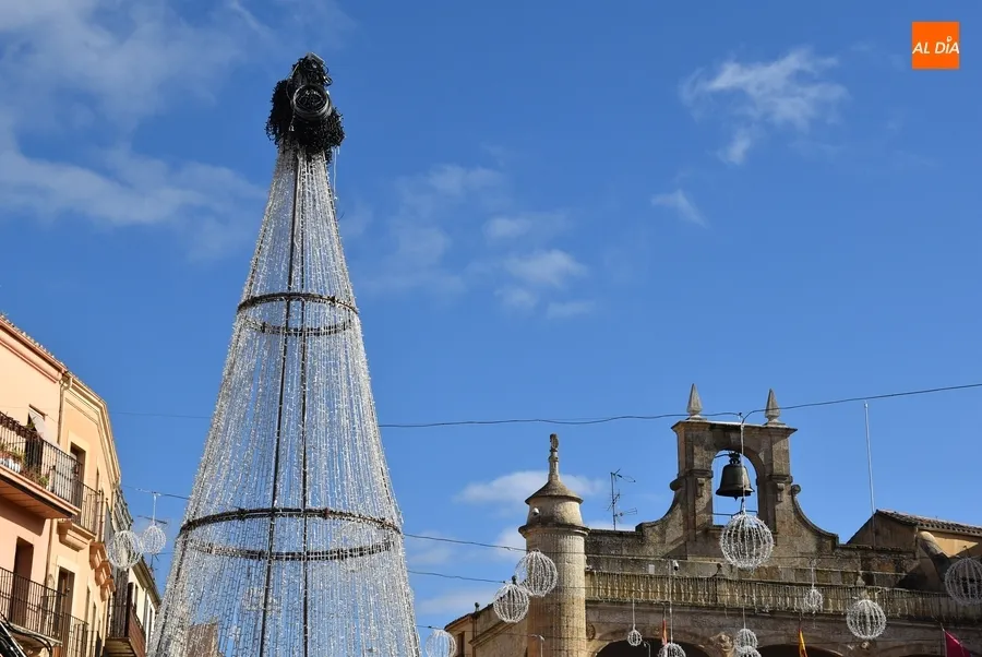 Foto 3 - La Plaza Mayor da la bienvenida, quiz&aacute; por &uacute;ltima vez, a su gran &aacute;rbol de Navidad