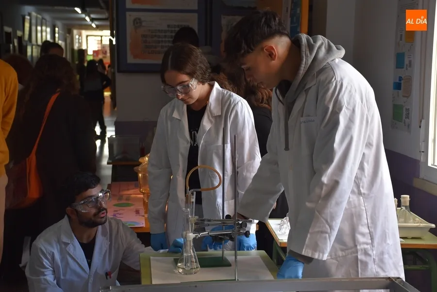 Foto 5 - El IES Fray Diego celebra la Semana de la Ciencia con la idea de institucionalizarla