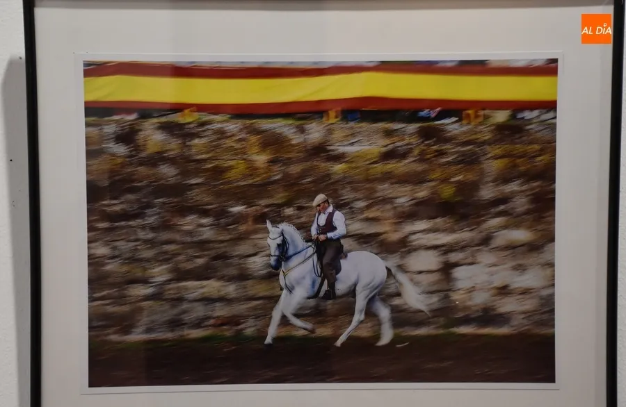 Foto 3 - Presentadas 12 im&aacute;genes al XX Concurso de Fotograf&iacute;a de la Feria del Caballo