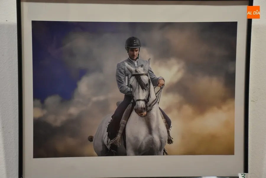 Foto 4 - Presentadas 12 im&aacute;genes al XX Concurso de Fotograf&iacute;a de la Feria del Caballo