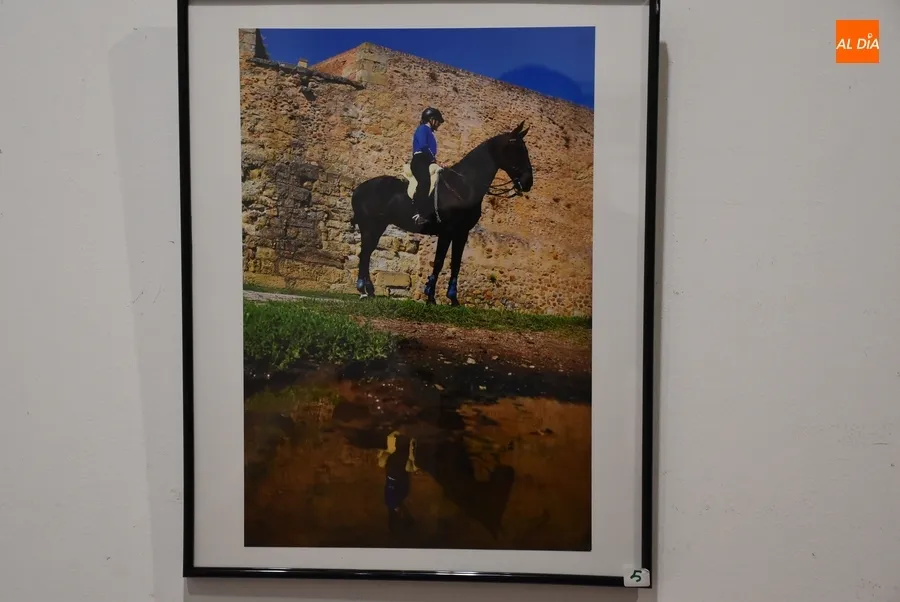 Foto 5 - Presentadas 12 im&aacute;genes al XX Concurso de Fotograf&iacute;a de la Feria del Caballo