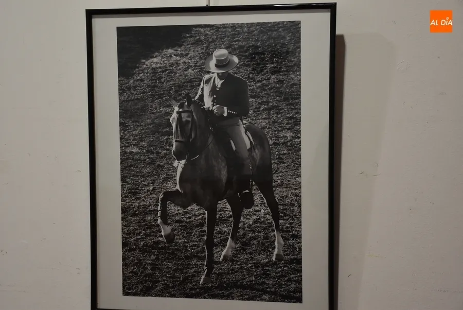 Foto 6 - Presentadas 12 im&aacute;genes al XX Concurso de Fotograf&iacute;a de la Feria del Caballo