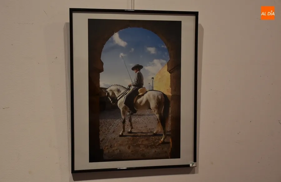 Foto 7 - Presentadas 12 im&aacute;genes al XX Concurso de Fotograf&iacute;a de la Feria del Caballo
