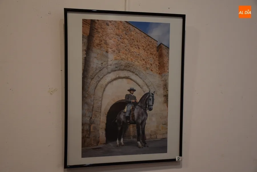 Foto 8 - Presentadas 12 im&aacute;genes al XX Concurso de Fotograf&iacute;a de la Feria del Caballo