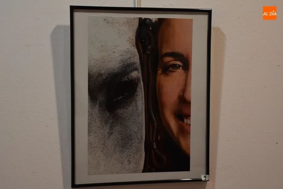 Foto 9 - Presentadas 12 im&aacute;genes al XX Concurso de Fotograf&iacute;a de la Feria del Caballo