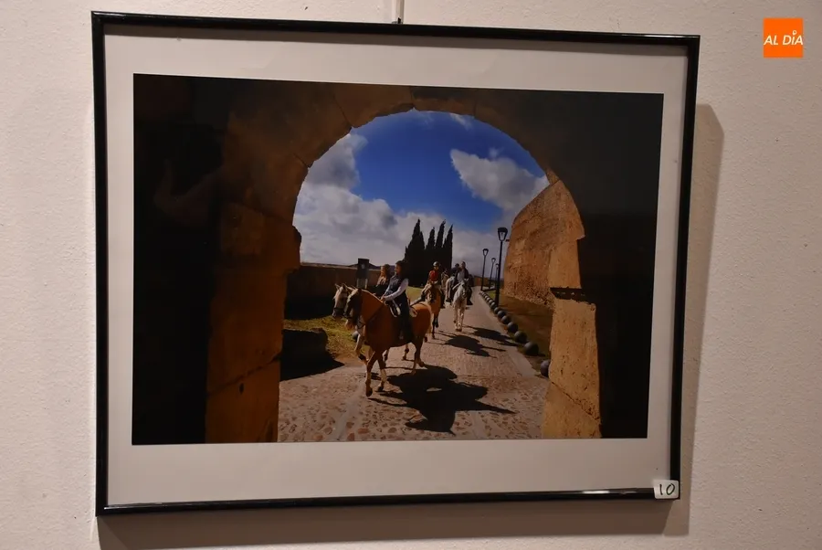 Foto 10 - Presentadas 12 im&aacute;genes al XX Concurso de Fotograf&iacute;a de la Feria del Caballo