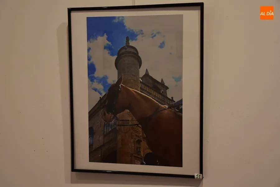 Foto 11 - Presentadas 12 im&aacute;genes al XX Concurso de Fotograf&iacute;a de la Feria del Caballo