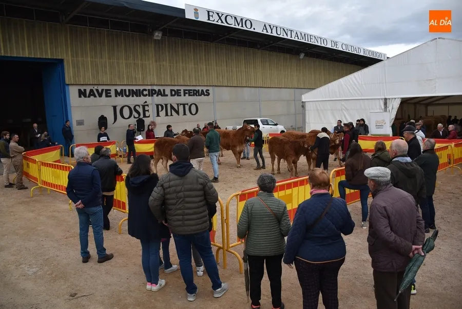 Foto 2 - Proclamados los primeros triunfadores entre los 101 animales asistentes a la Feria de San Andr&eacute;s 