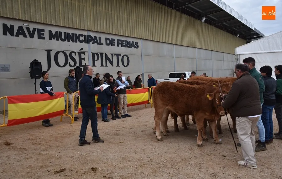 Foto 7 - Proclamados los primeros triunfadores entre los 101 animales asistentes a la Feria de San Andr&eacute;s 