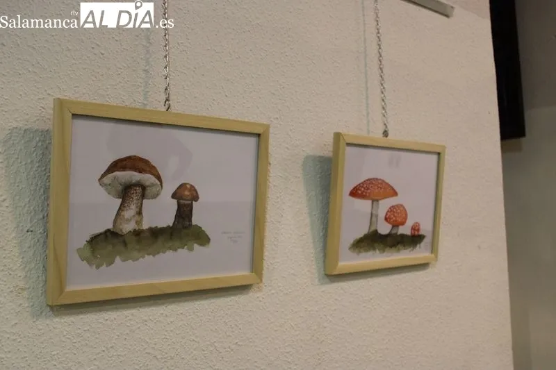 Foto 4 - Emberiza y al Ayuntamiento de Alba de Tormes inauguran las primeras Jornadas Micol&oacute;gicas