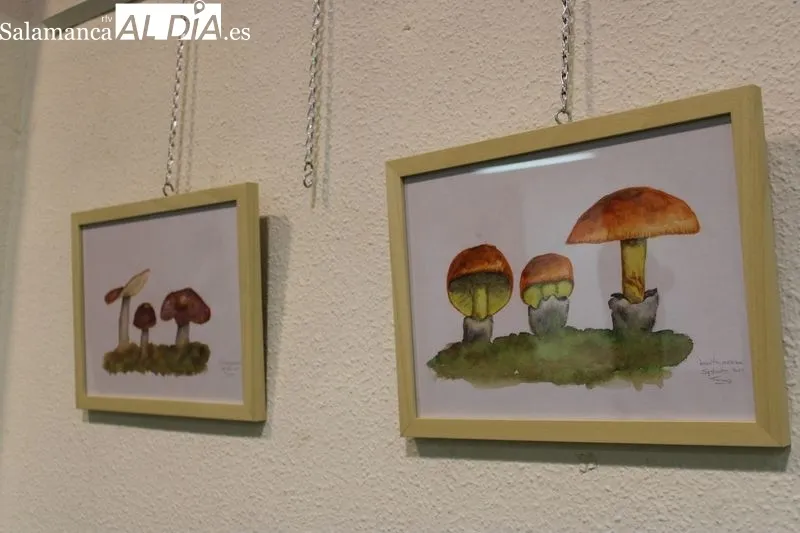 Foto 3 - Emberiza y al Ayuntamiento de Alba de Tormes inauguran las primeras Jornadas Micol&oacute;gicas