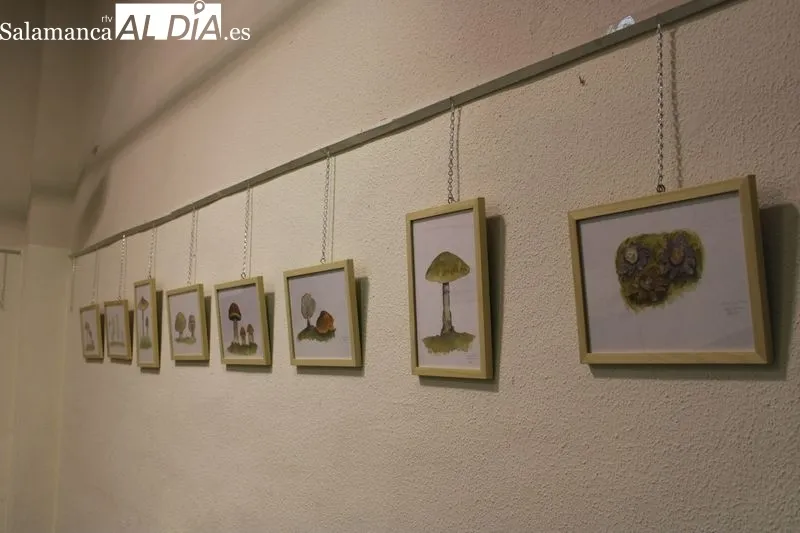 Foto 2 - Emberiza y al Ayuntamiento de Alba de Tormes inauguran las primeras Jornadas Micol&oacute;gicas