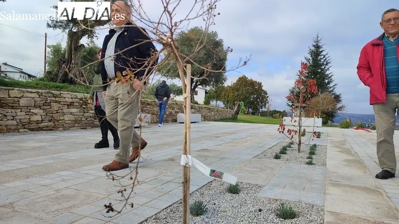 Clausura del taller de empleo de 'Pavimentación y piedra natural' en Villarino de los Aires / CORRAL
