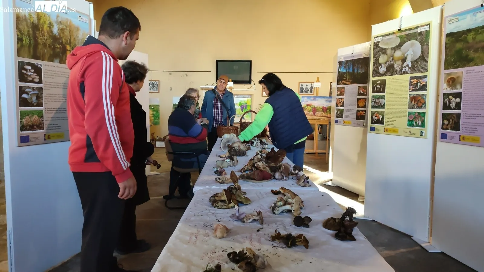Interesante jornada micológica en Aldeadávila de la Ribera promovida por ADEZOS y que ha contado con la colaboración del Ayuntamiento / CORRAL   