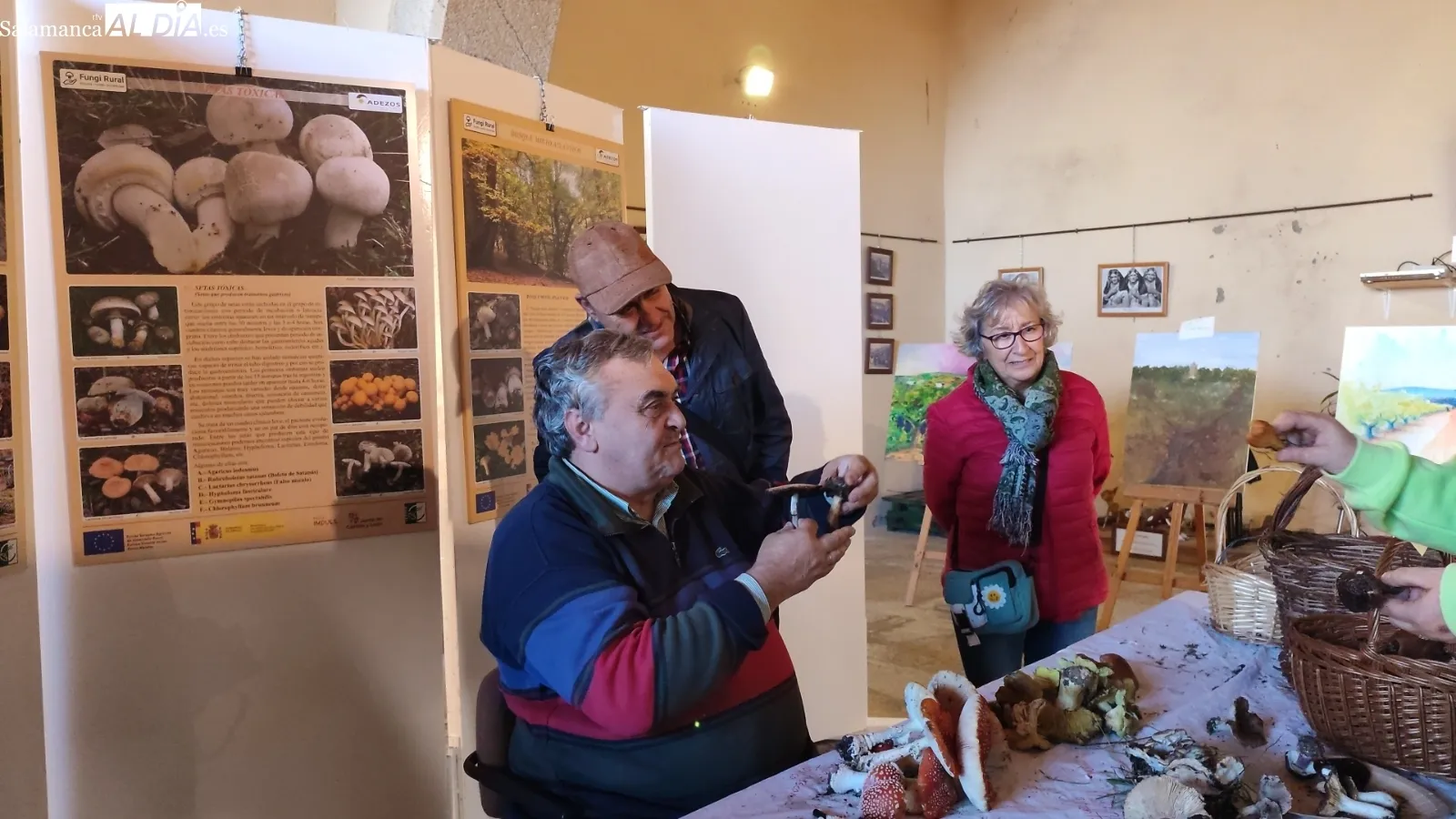 Interesante jornada micológica en Aldeadávila de la Ribera promovida por ADEZOS y que ha contado con la colaboración del Ayuntamiento / CORRAL   