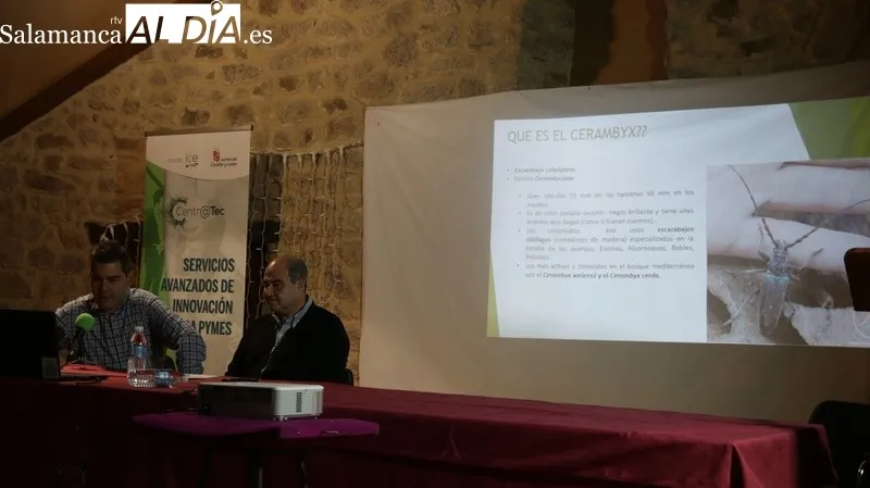 Desarrollo de la jornada técnica 'Dehesas con futuro' en Cipérez / CORRAL