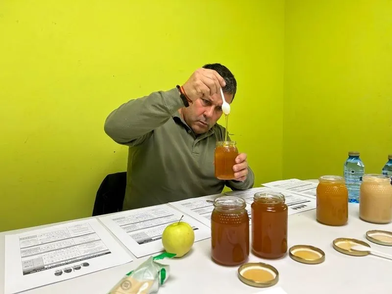Concurso profesional de catas de miel