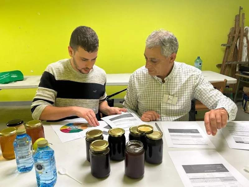 Concurso profesional de catas de miel