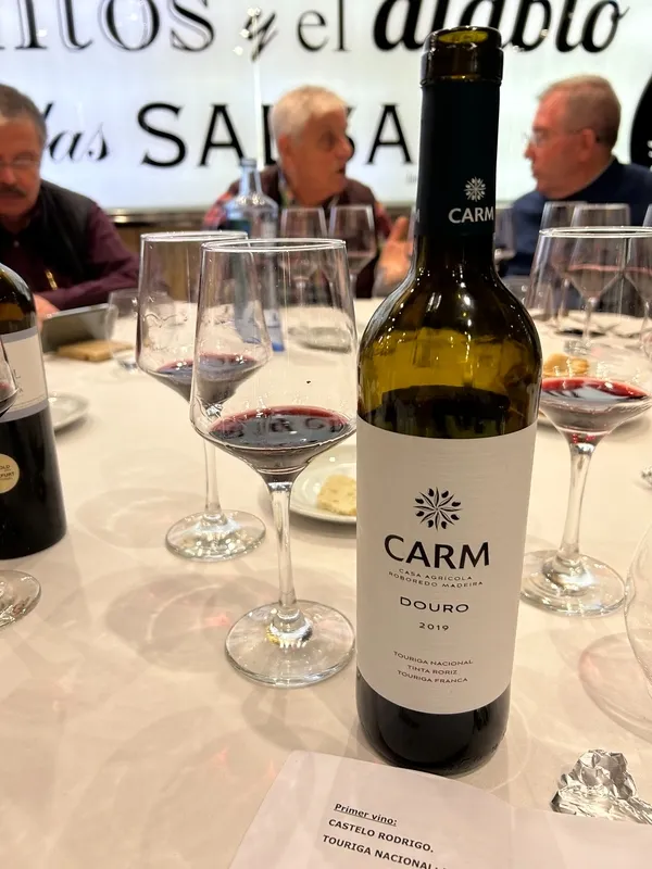 Imágenes de la cata Carm 2019 / JAVIER BRAGADO